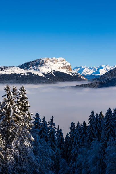 summit of dent de crolles from charmant som, in the chartreuse regional natural park, covered in snow above a sea of clouds - crolles imagens e fotografias de stock