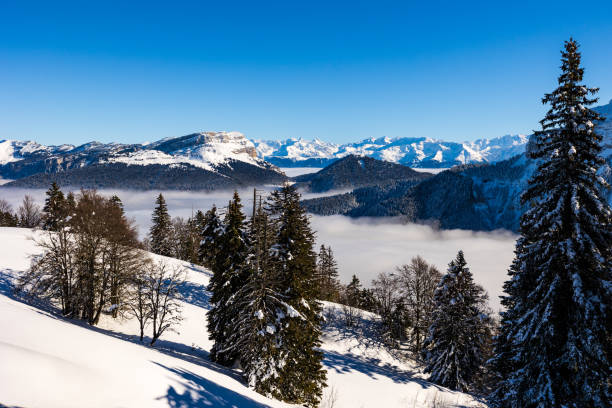 summit of dent de crolles and belledonne range from charmant som, in the chartreuse regional natural park, covered in snow above a sea of clouds - crolles imagens e fotografias de stock