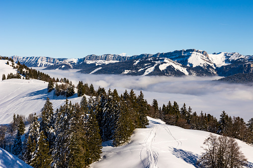 Sea of clouds over the Chartreuse Massif from the snow-covered summit of Charmant Som in the Chartreuse Regional Natural Park