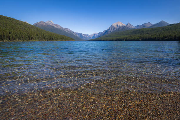 istock Bowman Lake, Montana 1952940083