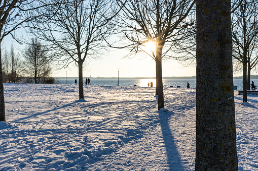 The Cospudener Lake in Leipzig in winter