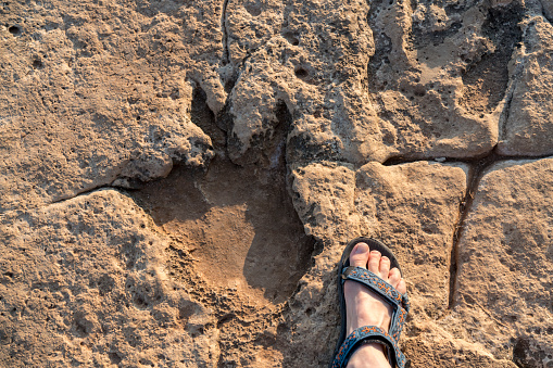 One footprint of human feet on the sand on the beach at sunset, texture abstract background