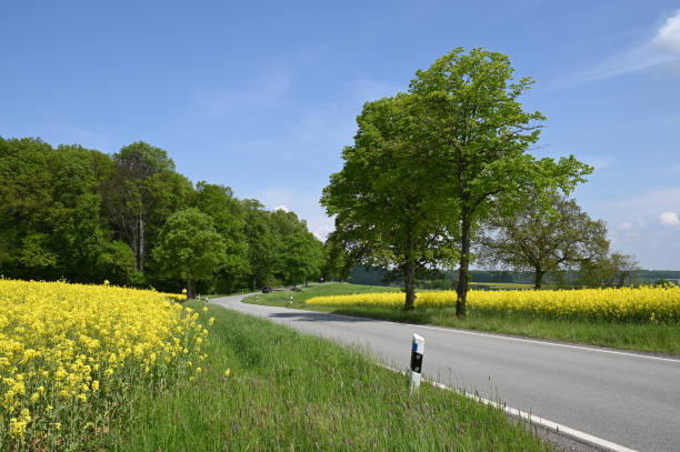istock Country road in spring 1952959172
