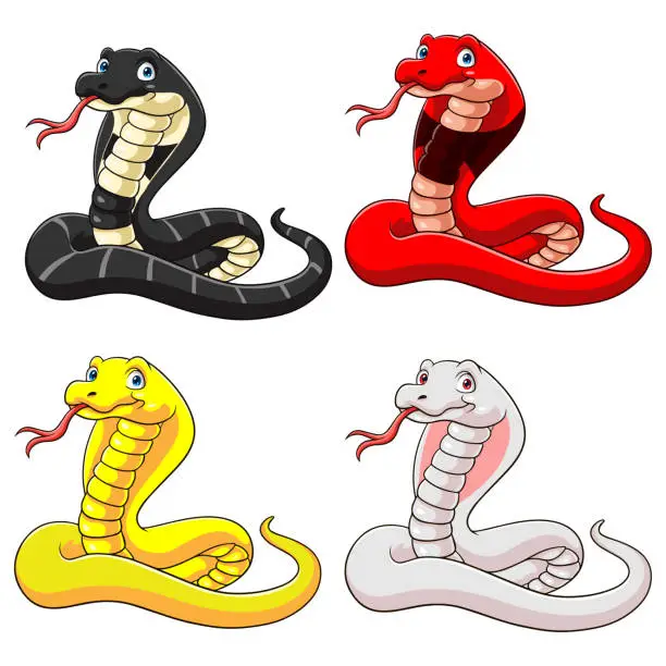 Vector illustration of set of cobra cartoon collection