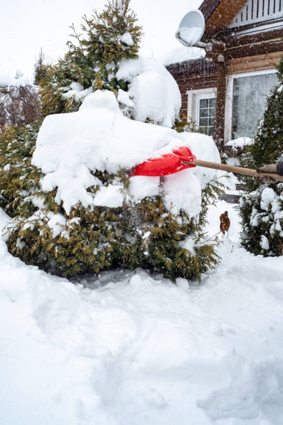 istock Shovel for snow removal, Working outside in winter. 1952969664