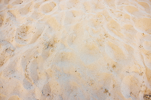 Close-up view of footprints in the sand on Miami Beach.