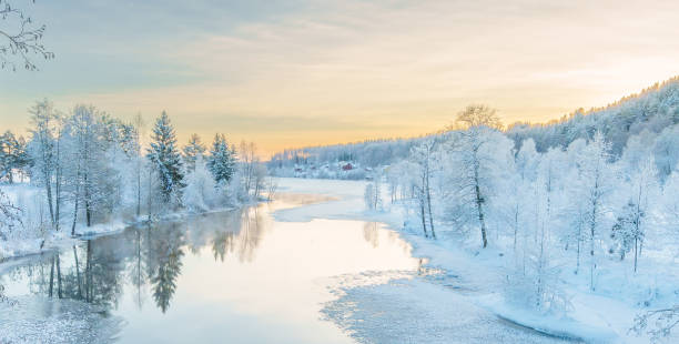 river flowing through the winter forest in sweden - on branch photos et images de collection