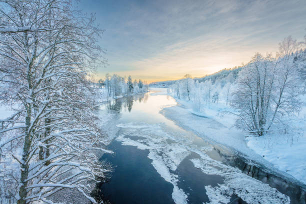 istock River flowing through the winter forest in Sweden 1952988721