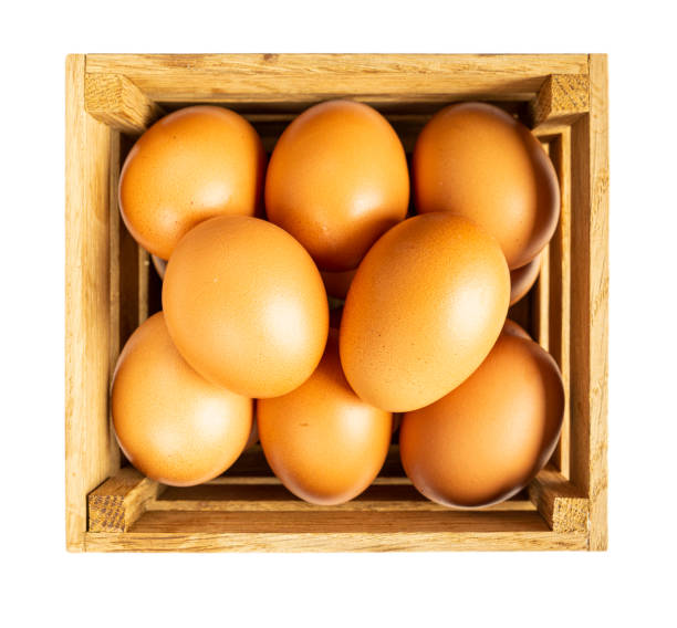 Eggs in wooden box isolated on white background. Bird eggs isolated. Close-up of an eggs on white. Chicken eggs isolated on white.