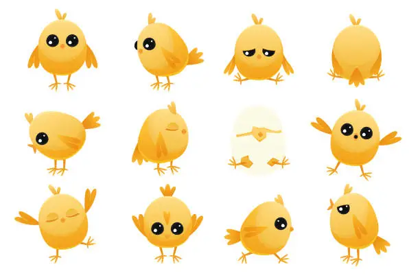 Vector illustration of Cute cartoon chicken baby. Yellow farm poultry with beak and wings, simple happy animal characters with different emotions. Vector isolated set