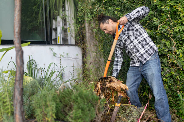 istock Gardener planting 1953017345