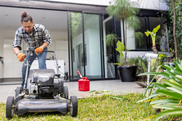 istock Gardener checking some issues with the lawn mower 1953018323
