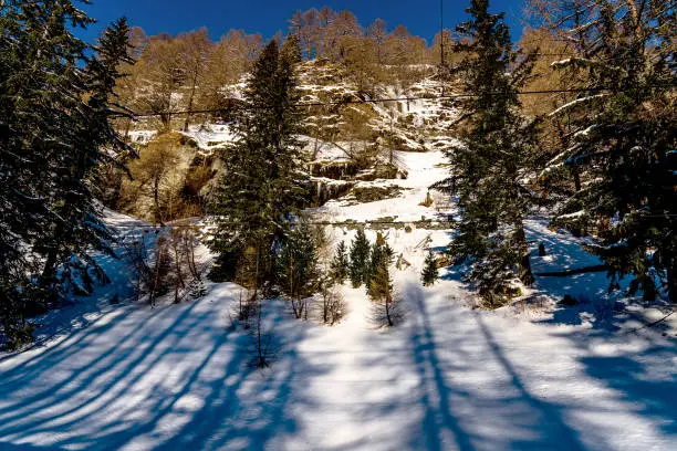 Photo of ong blueish shadows of fir trees on the snow under the sun,