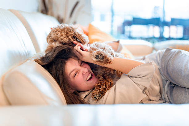 istock Young girl playing with her puppy on the sofa 1953039643