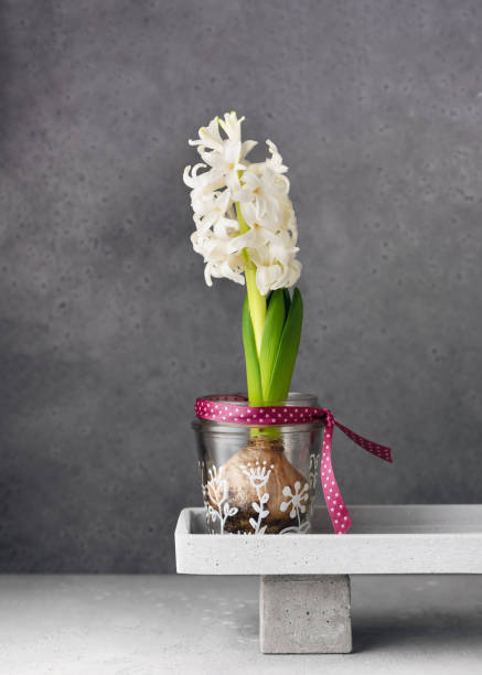 vaso de vidro pintado com diferentes motivos de plantas e flor branca nele. - hyacinth flower vase daffodil - fotografias e filmes do acervo