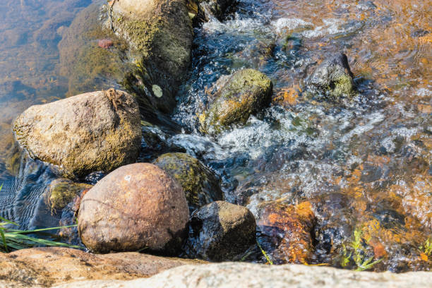 Running stream of water with splashes in the summer between the rocks