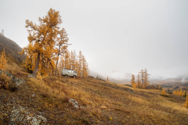 traveling in the autumn mountains by car. car on forest trail, from the side view. - steep road footpath moving down fotografías e imágenes de stock