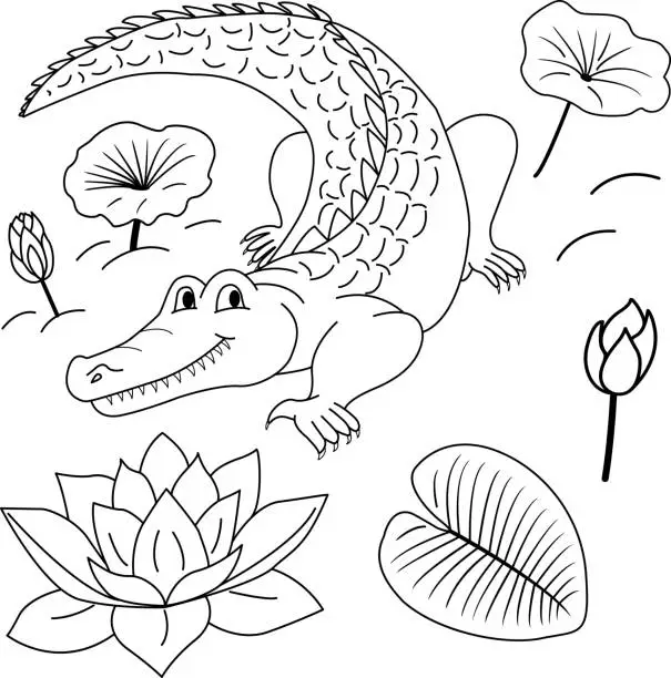 Vector illustration of Sketch of vector alligator, flowers, lily, leaves. Illustration of a crocodile in the swamp for children's coloring