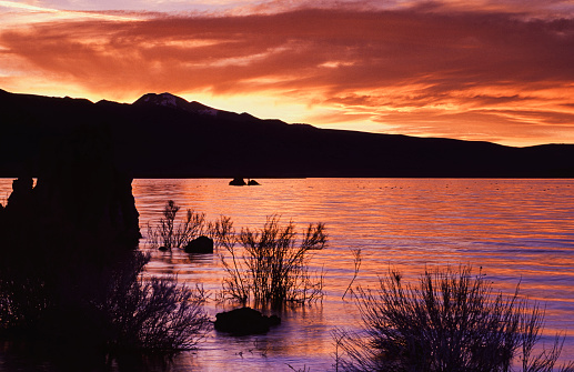 Sunset view of tufa formation on the bank of Mono Lake. Tufa is a variety of limestone formed when carbonate minerals precipitate out of water in unheated rivers or lakes.

Taken at Mono Lake, California, USA.