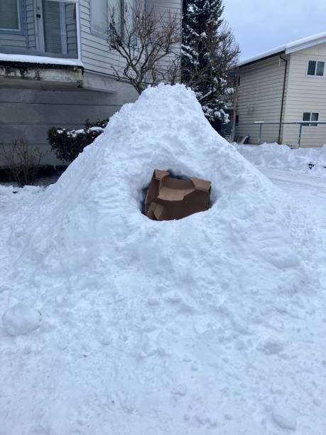 istock Cardboard in pile of snow 1953116511