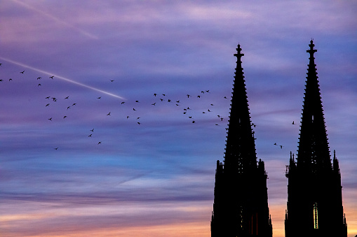 Cathedral View with Birds