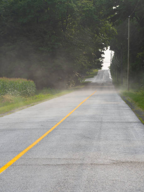 Landscape of a rural road