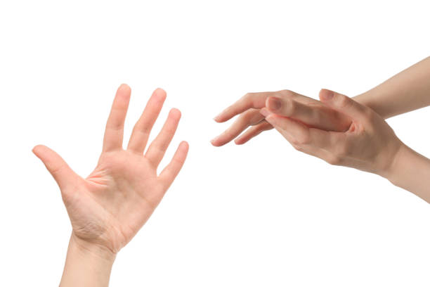 istock Woman hand isolated on a white background. 1953140941
