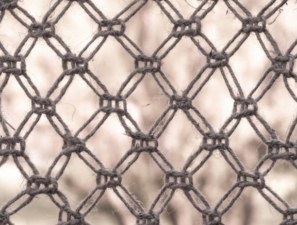 istock Close up on a pattern of jute cord 1953141590