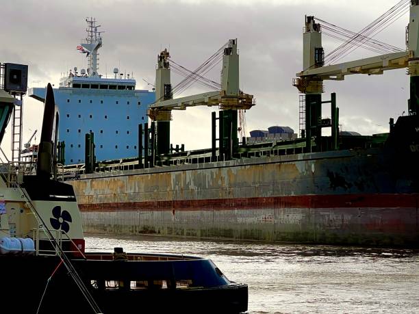 istock Ships and boats at Sunderland 1953148390