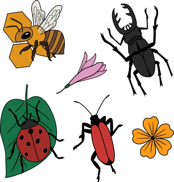 Vector illustration of Clipart of vector cartoon insects and flowers. Illustration of a stag beetle, a ladybug on a leaf, a bee on a honeycomb, and flowers