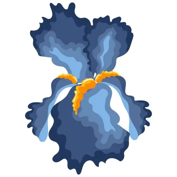 Vector illustration of iris flower