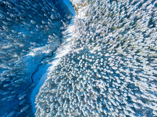 Free Stock Photo of Aerial View of Snowy Forest | Download Free Images ...