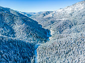 Aerial view of snow-covered treetops in the forest in winter
