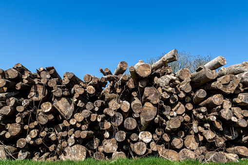 A log pile in the countryside, with a blue sky overhead