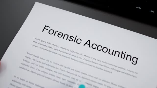 Forensic Accountant Financial Audit