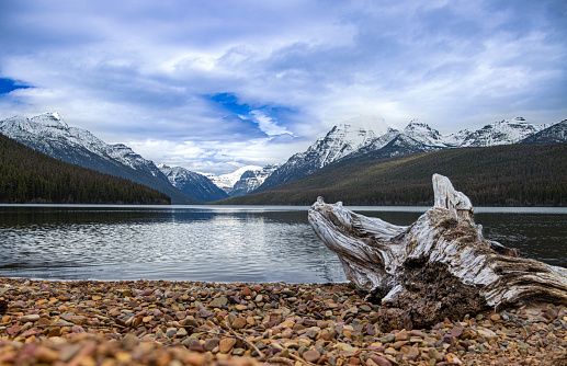 A piece of driftwood sitting on a rocky bank.  Snowcapped mountains and lake in the background.