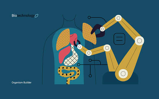 Bio Technology, Organism Builder -modern flat vector concept illustration of robot assembling organism using blocks, parts representing organ systems. Metaphor of regenerative medicine and 3D printing