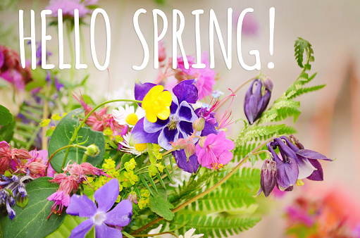 Hello Spring Greeting Card  with Wild Flowers