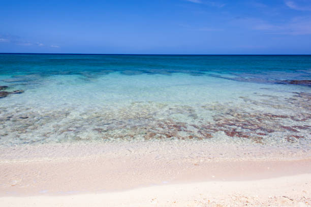 The scenic view of famous Seven Mile Beach and turquoise color waters on Grand Cayman island (Cayman Islands).