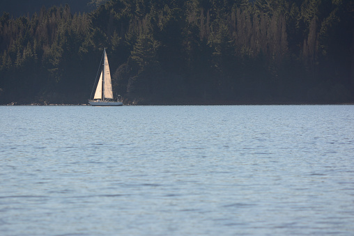 sailboat sailing on a lake, on the horizon of mountains and forest. Navigation in the Argentine Patagonia near Bariloche