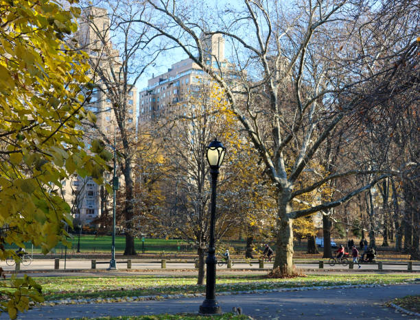 A choice of two possible directions in New York City's Central Park.