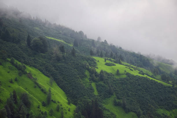 A misty green valley in lights.