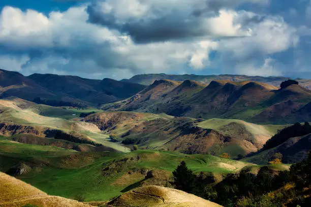 Photo of Views from the top of Te Mata Peak of the hills and valleys