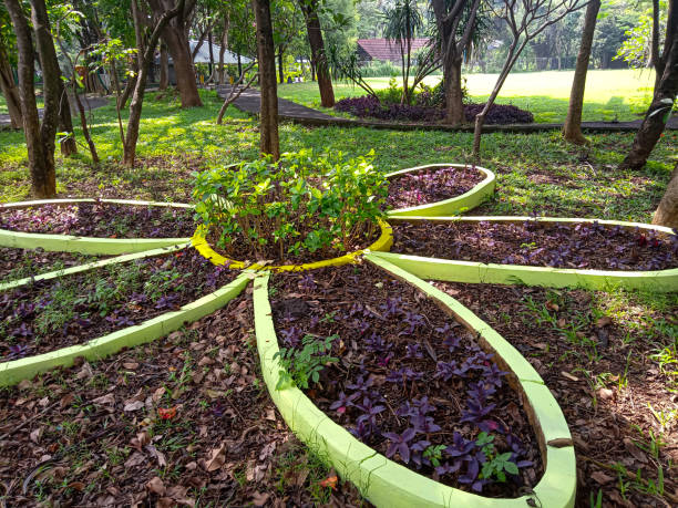 istock place flower-shaped plants in city parks 1953429515