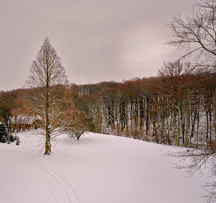 Landscape from Clingmans Dome with snow, fog, and frost, Great Smoky Mountains National Park, Tennessee, USA