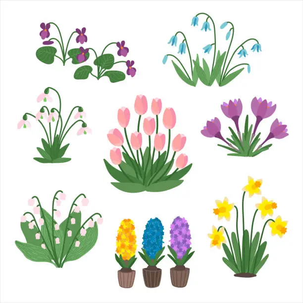 Vector illustration of Spring flowers isolated set in flat cartoon design. Vector illustration isolated