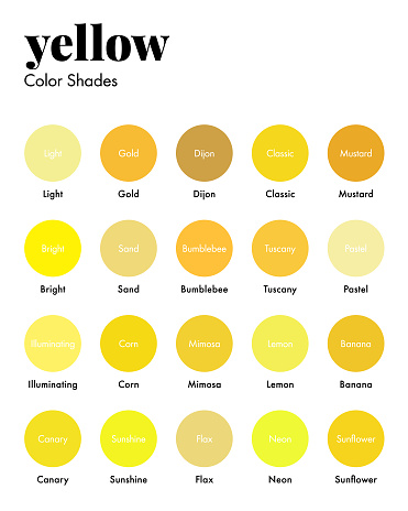 Palette of Yellow Shades with Corresponding Names, Collection of Color Swatches. Modern Minimal Design Template
