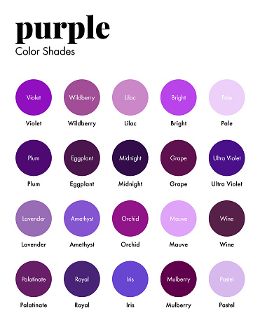 Palette of Purple Shades with Corresponding Names, Collection of Color Swatches. Modern Minimal Design Template