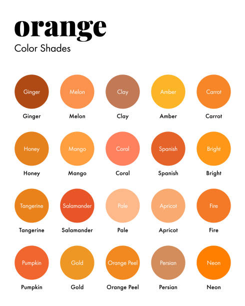 Orange Color Shades, Swatches Palette with Names Palette of Orange Shades with Corresponding Names, Collection of Color Swatches. Modern Minimal Design Template neon turquoise stock illustrations