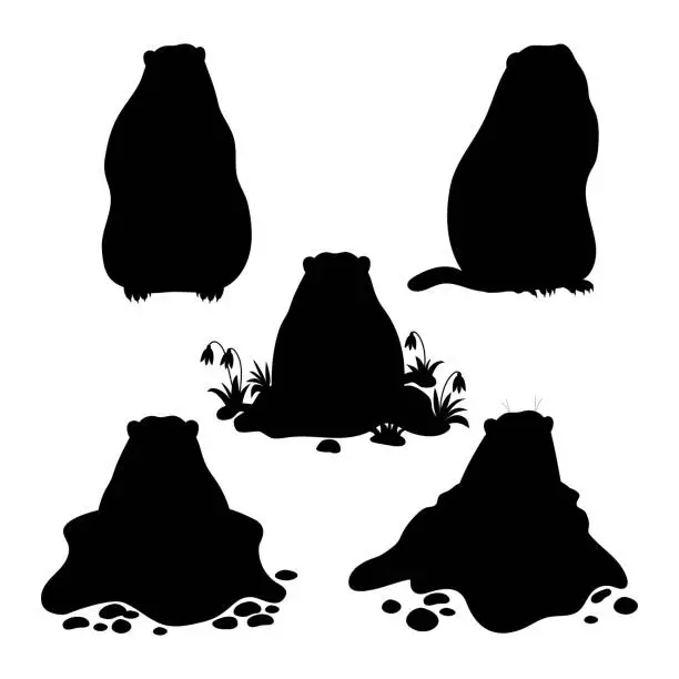 Vector illustration of Animal marmot collection. Silhouette rodent groundhog. Isolated black hand drawn. Holiday Groundhog Day February 2. Vector illustration.